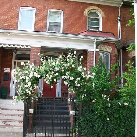 Comfy Guesthouse & Suite Toronto Exteriér fotografie