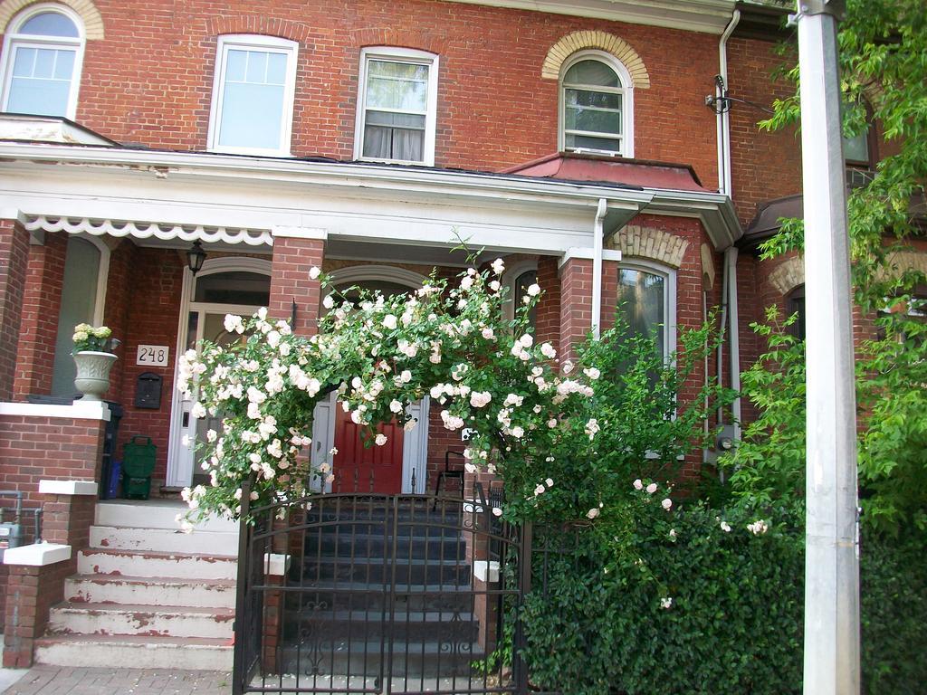 Comfy Guesthouse & Suite Toronto Exteriér fotografie